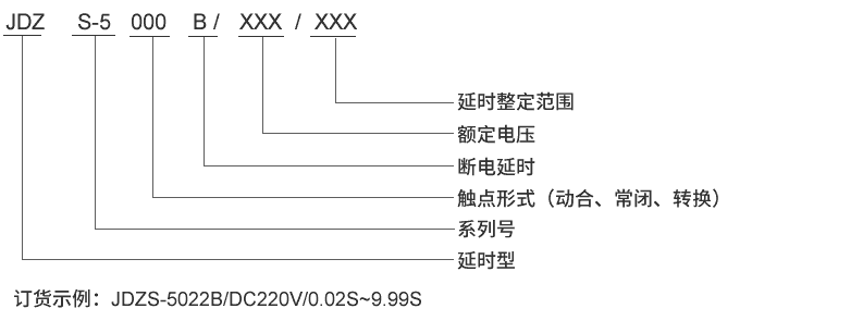 JDZS-5202B型号及其含义